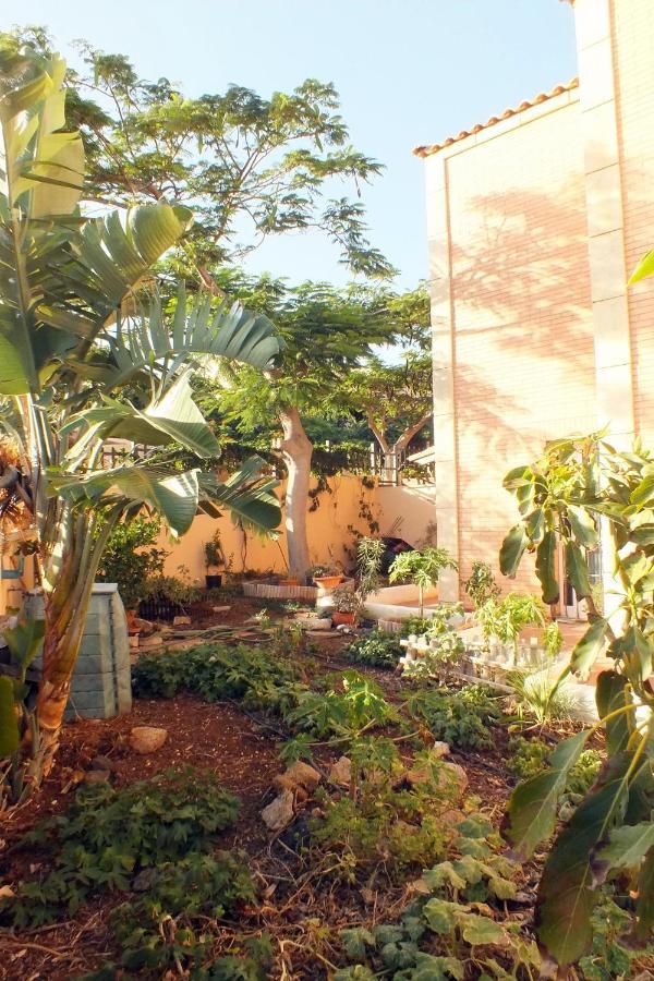 Casa Nea Apartment El Rosario  Exterior photo